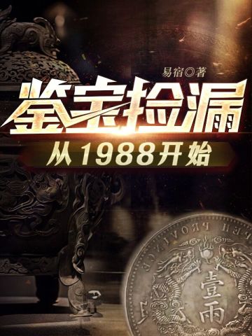 鉴宝捡漏从1988开始张震易书全文